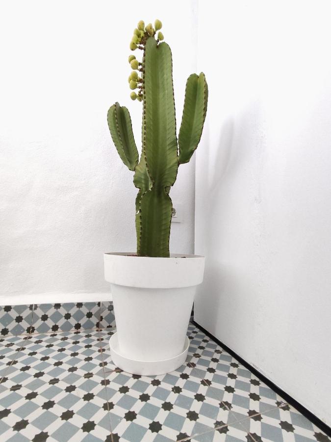 Appartamento Jimaral Vejer de la Frontera Esterno foto